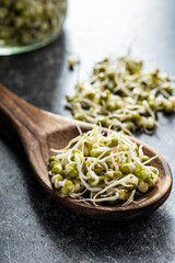 Sprouted green mung beans. Mung sprouts.