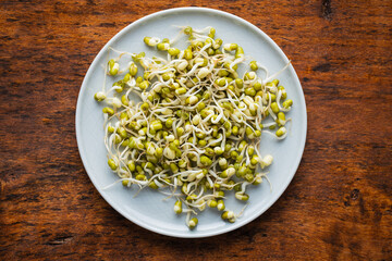 Sprouted green mung beans. Mung sprouts on plate.