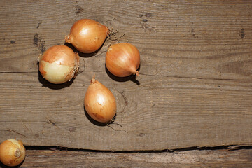 Onion bulbs lie on a wooden table