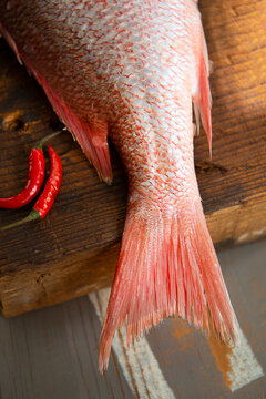 Pink-orange snapper fish