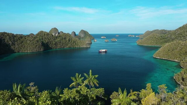 2020 - Excellent aerial shot of palm trees and a boat floating among the Wayag Islands, Raja Ampat, Indonesia.