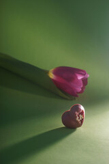 Bright pink tulip and heart-shaped chocolate bar next to it