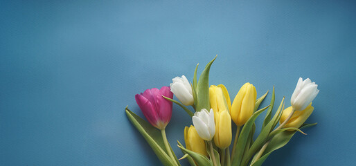 Spring tulips on a blue background of different colors