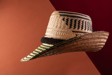 Wayuu straw hat on color background