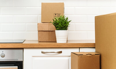 Cardboard boxes on the new kitchen.