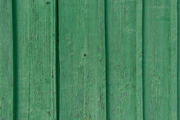 Old wooden planks, arranged vertically, painted with spring green paint, cracked and faded in the sun. Wood texture.
