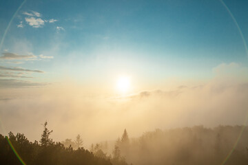 Naklejka premium sunrise over the field