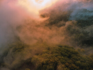 Fototapeta premium fog in the mountains