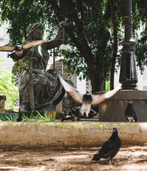 pigeons flying in front of the statue of justice in the republic square in Cuiab&aacute;, Mato Grosso
