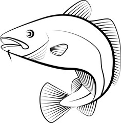 cod fish - 428887543