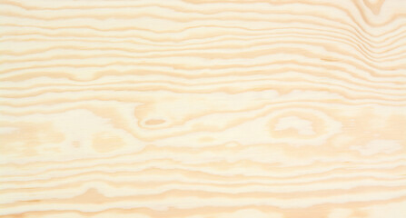 Light wood texture on the plywood surface