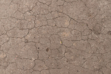 Cracked soil or earth texture with additional elements of naturalness
