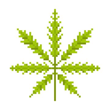 Cannabis leaf pixel icon. Green fluffy herb with narcotic relaxing effect natural marijuana with medicinal vector effect.