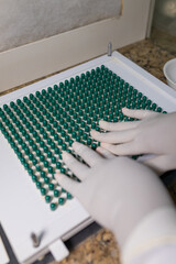 making green capsules. compounding pharmacy. compounding green medication.