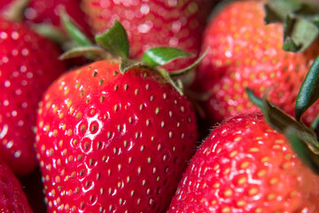 La reina de las frutas: La fresa.