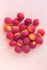 Fresh apricot fruits on a pink background