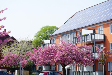 Energetisch renoviertes Wohnhaus mit Solarenergie im Frühjahr zur Kirschblüte
