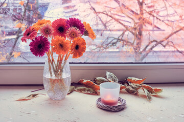 Autumn window, gerbera flowers, candle. Pink, magenta, coral and yellow Gerbera flowers on a window board. Green white leaves. Grey cold weather outside, orange sunset. Stay warm and cozy indoors.