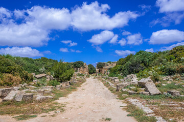 Fototapeta na wymiar Road among ruins of acropolis of Selinunte ancient city on Sicily Island, Italy