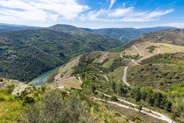Fototapeta na wymiar Beautiful scenery of the vineyards in the Ribeira Sacra along the Sil River (Lugo, Galicia, Spain)