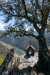 Beautiful scenery of the vineyards in the Ribeira Sacra along the Sil River (Lugo, Galicia, Spain)