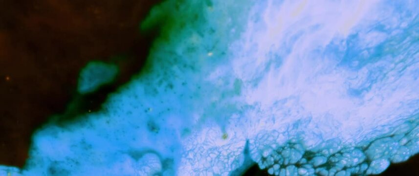 Macro Textures with Vibrant Neon Color Palette. Abstract Background Made with Oil Mixed with Dye, Ink, and Paint.