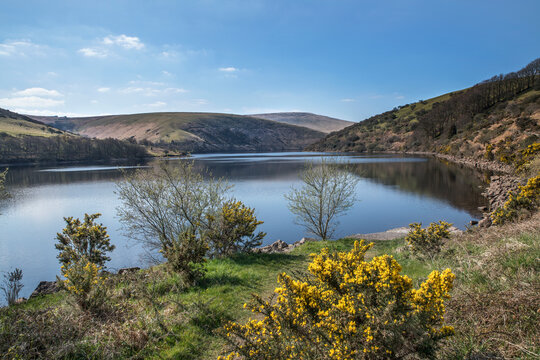 View from  Meldon reservoir dam