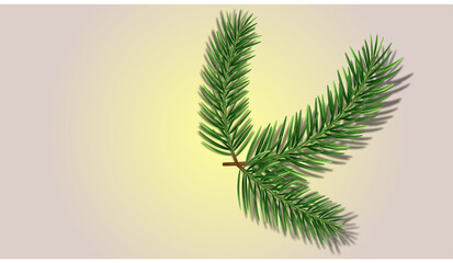 Vector image of a spruce branch, consisting of three branches on a light golden background