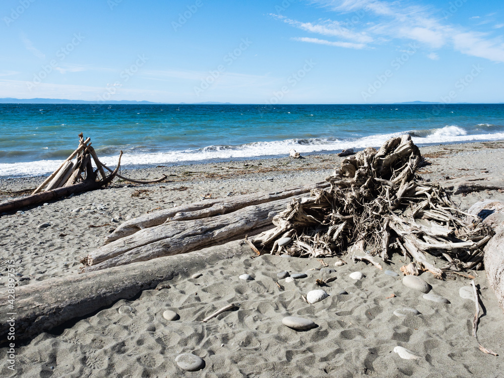 Wall mural Scenic beach on the Dungeness Spit, the longest sand spit in the US - Olympic peninsula, Washington state