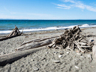 Fototapeta na wymiar Scenic beach on the Dungeness Spit, the longest sand spit in the US - Olympic peninsula, Washington state