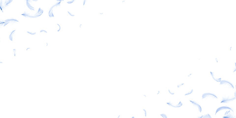 Feather white. Abstract bird feather texture closeup falling on white background for pattern...