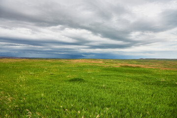 Fototapeta na wymiar View over mixed grass prairie in Badlands National Park