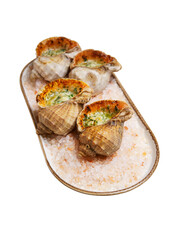 Rapana in shells cooked with ghee. Sea food on a plate. Isolate on a white back