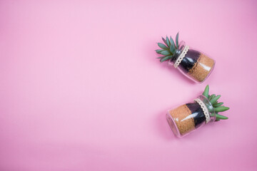 Two cacti on pink background, composition. Minimal  abstract pink background composition with...