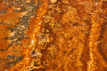 Red brown colored Earth in Yellowstone Park