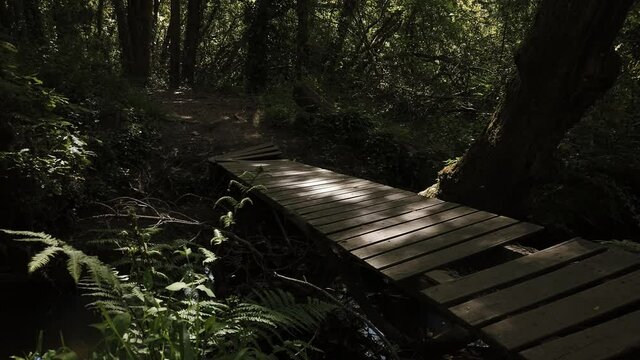 Old and damage wooden bridge over small stream in Antas, Esposende, Portugal.