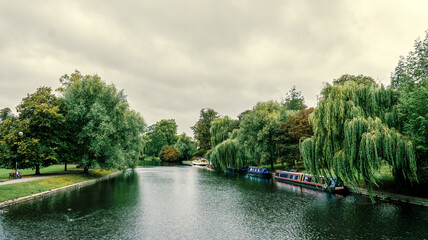 river in the park