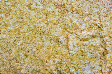 Green and brown colored Earth in Yellowstone Park