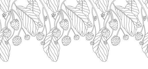 branch of a strawberry with leaves. Black and white line art illustration. Border pattern