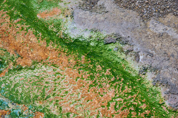 Green brown and grey colored Earth in Yellowstone Park