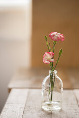 Beautiful hyacinth flowers in glass vase on light blurred background