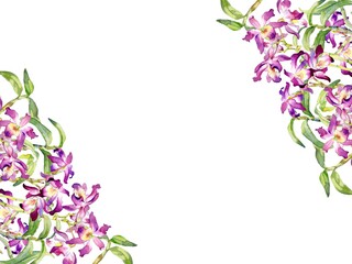 Fototapeta na wymiar A Vector Frame of Dendrobium Orchid