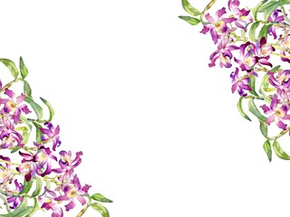 A Vector Frame of Dendrobium Orchid