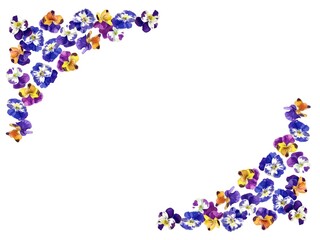 A Vector Frame of Pansies