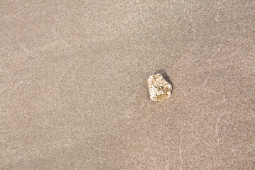 砂浜の砂に埋もれる小石	