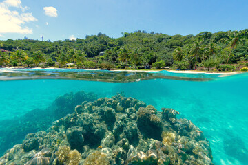  lagon transparent de Bora Bora, Polynesie francaise