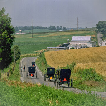 Mennonites Returning From Church;  Shenandoah Valley;  Virginia