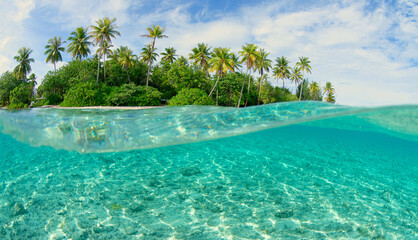 Lagon transparent de bora bora - polynesie francaise