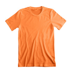 Safety Orange Tee Shirt Blank 