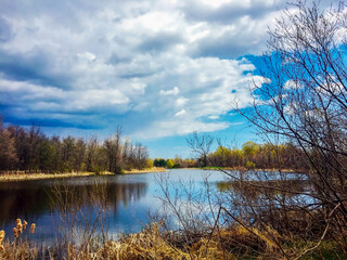 View on the pond from behind trees in a spring city park